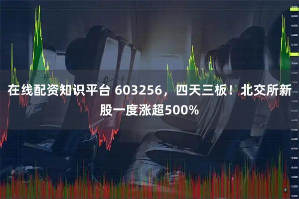 在线配资知识平台 603256，四天三板！北交所新股一度涨超500%