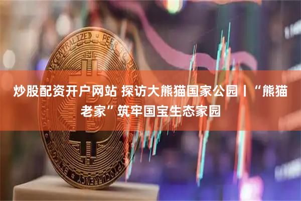 炒股配资开户网站 探访大熊猫国家公园丨“熊猫老家”筑牢国宝生态家园