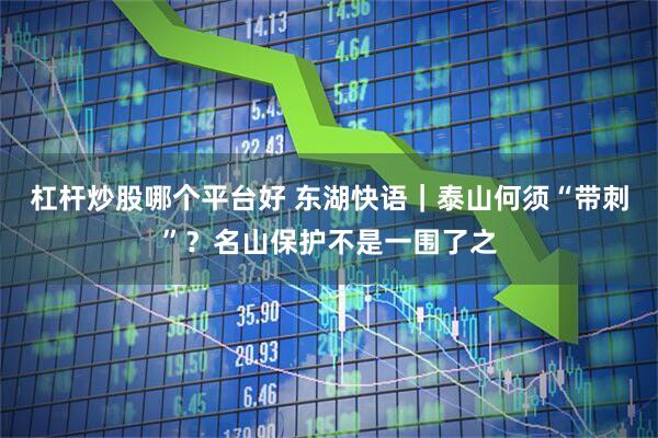 杠杆炒股哪个平台好 东湖快语｜泰山何须“带刺”？名山保护不是一围了之